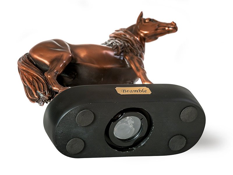 TRIBUTES_CAST-EQUINE_PONY-BASE The Memory Capsule is a unique personalised pet ashes keepsake included or compatible with a range of our urns. It can hold a tiny quantity of ashes & small mementos such as name tag or a lock of hair or fur.
